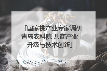 国家桃产业专家调研青岛农科院 共商产业升级与技术创新