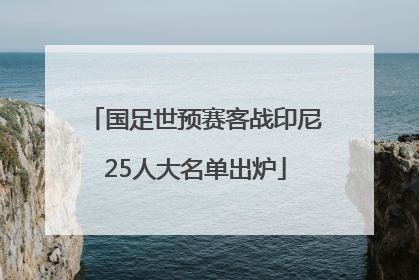 国足世预赛客战印尼25人大名单出炉