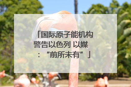国际原子能机构警告以色列 以媒：“前所未有”