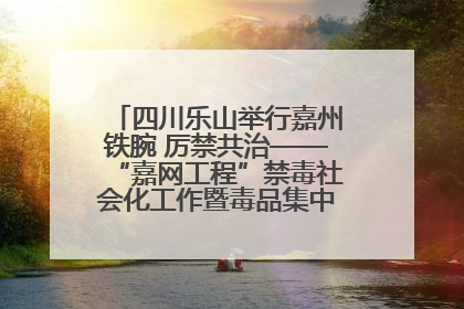 四川乐山举行嘉州铁腕 厉禁共治——“嘉网工程”禁毒社会化工作暨毒品集中销毁启动仪式
