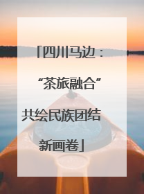 四川马边：“茶旅融合”共绘民族团结新画卷