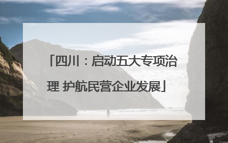 四川：启动五大专项治理 护航民营企业发展