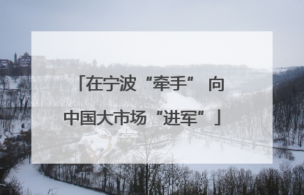 在宁波“牵手” 向中国大市场“进军”