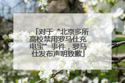 对于“北京多所高校禁用罗马仕充电宝”事件，罗马仕发布声明致歉