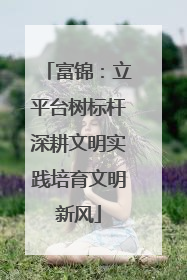 富锦：立平台树标杆深耕文明实践培育文明新风