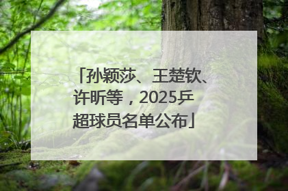 孙颖莎、王楚钦、许昕等，2025乒超球员名单公布