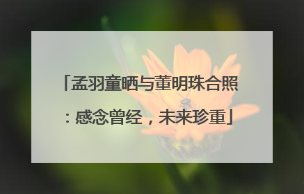 孟羽童晒与董明珠合照：感念曾经，未来珍重
