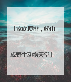 家底摸排，崂山成野生动物天堂