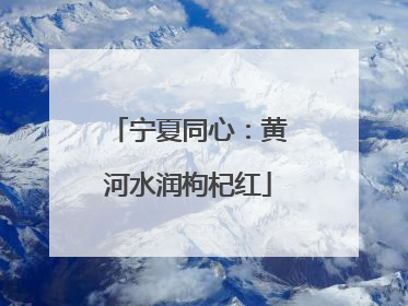 宁夏同心：黄河水润枸杞红