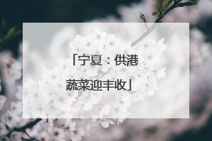 宁夏：供港蔬菜迎丰收