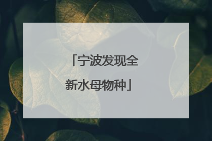 宁波发现全新水母物种