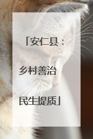 安仁县：乡村善治 民生提质