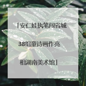安仁娃执笔闯省城 38组童诗画作亮相湖南美术馆