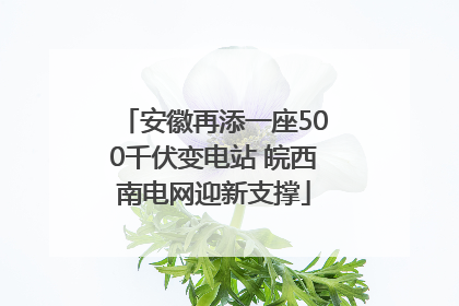 安徽再添一座500千伏变电站 皖西南电网迎新支撑