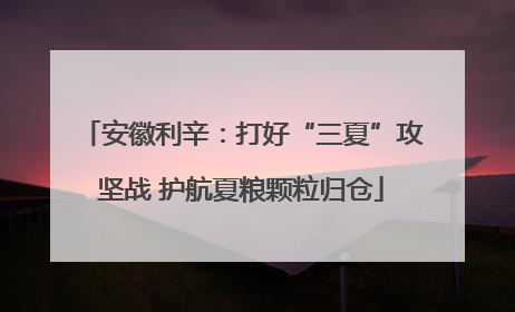 安徽利辛：打好“三夏”攻坚战 护航夏粮颗粒归仓