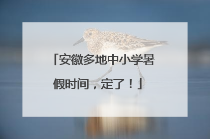 安徽多地中小学暑假时间，定了！