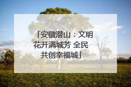 安徽潜山：文明花开满城芳 全民共创幸福城