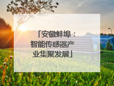 安徽蚌埠：智能传感器产业集聚发展