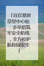 宜宾翠屏草堂中心校：多举措筑牢安全防线，全方位护航校园安全