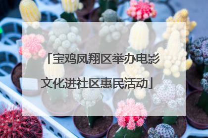 宝鸡凤翔区举办电影文化进社区惠民活动