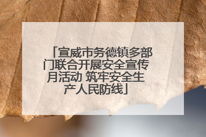 宣威市务德镇多部门联合开展安全宣传月活动 筑牢安全生产人民防线