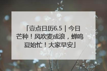 壹点日历6.5｜今日芒种！风吹麦成浪，蝉鸣夏始忙！大家早安
