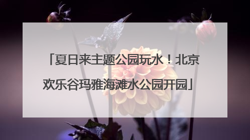 夏日来主题公园玩水！北京欢乐谷玛雅海滩水公园开园
