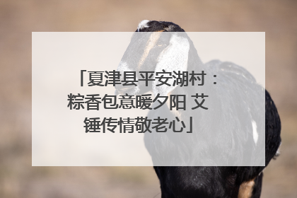 夏津县平安湖村：粽香包意暖夕阳 艾锤传情敬老心