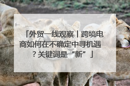 外贸一线观察丨跨境电商如何在不确定中寻机遇？关键词是“新”