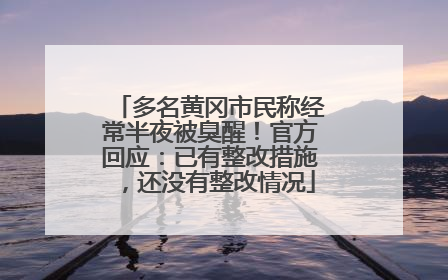 多名黄冈市民称经常半夜被臭醒！官方回应：已有整改措施，还没有整改情况