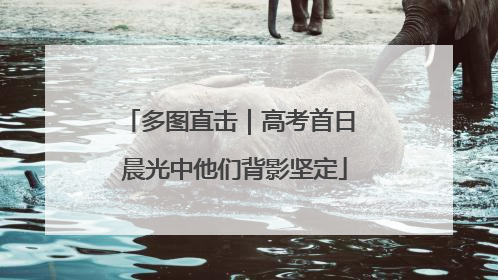 多图直击｜高考首日 晨光中他们背影坚定