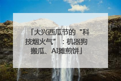 大兴西瓜节的“科技烟火气”：机器狗搬瓜、AI摊煎饼