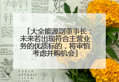 大全能源副董事长：未来若出现符合主营业务的优质标的，将审慎考虑并购机会