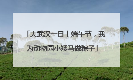 大武汉一日丨端午节，我为动物园小矮马做粽子