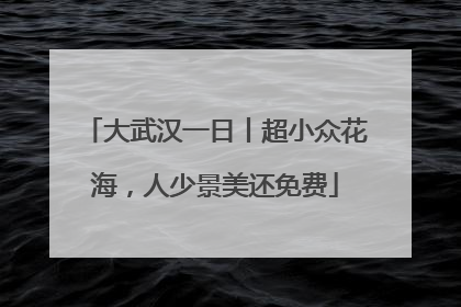 大武汉一日丨超小众花海，人少景美还免费