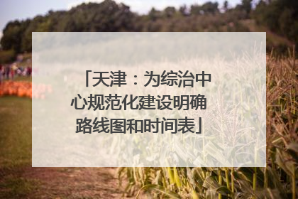天津：为综治中心规范化建设明确路线图和时间表