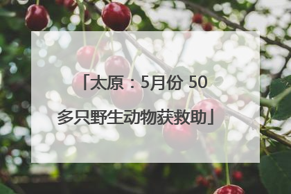 太原：5月份 50多只野生动物获救助