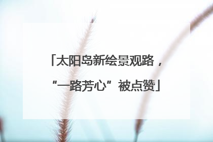太阳岛新绘景观路，“一路芳心”被点赞