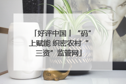 好评中国丨“码”上赋能 织密农村“三资”监管网