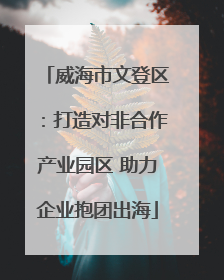 威海市文登区：打造对非合作产业园区 助力企业抱团出海