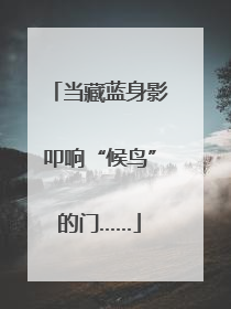 当藏蓝身影叩响“候鸟”的门……