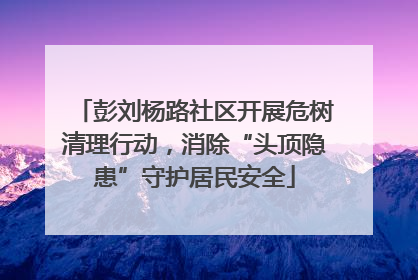 彭刘杨路社区开展危树清理行动，消除“头顶隐患”守护居民安全