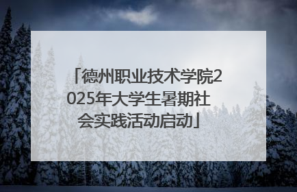 德州职业技术学院2025年大学生暑期社会实践活动启动