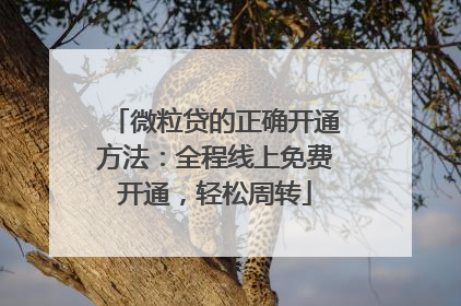微粒贷的正确开通方法：全程线上免费开通，轻松周转