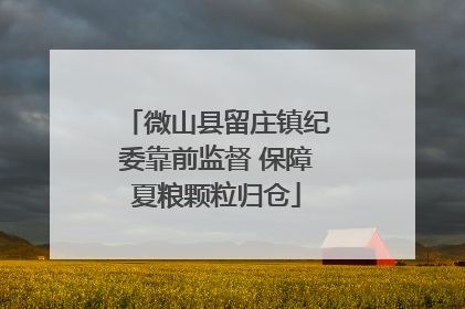 微山县留庄镇纪委靠前监督 保障夏粮颗粒归仓