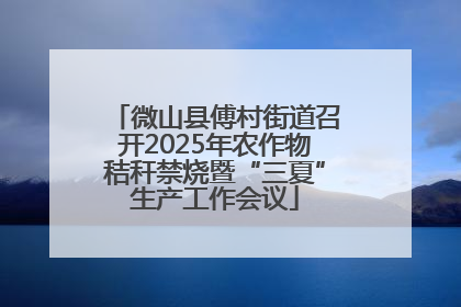 微山县傅村街道召开2025年农作物秸秆禁烧暨“三夏”生产工作会议
