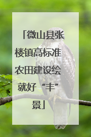 微山县张楼镇高标准农田建设绘就好“丰”景