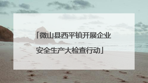 微山县西平镇开展企业安全生产大检查行动