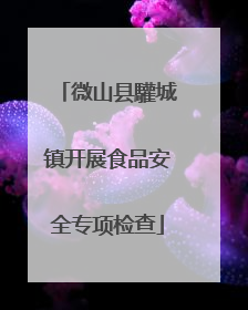 微山县驩城镇开展食品安全专项检查