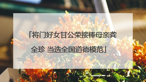 将门好女甘公荣接棒母亲龚全珍 当选全国道德模范